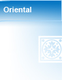 Oriental Artifacts